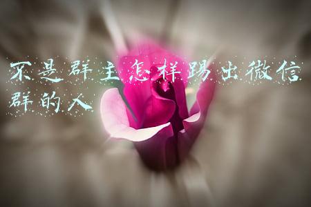 不是群主怎样踢出微信群的人软件(微信解炸神器软件下载)