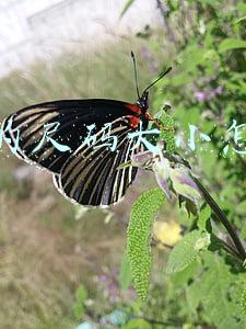 衣服大小尺码表(服装尺寸对照表)