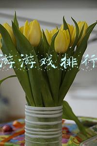 端游游戏排行榜