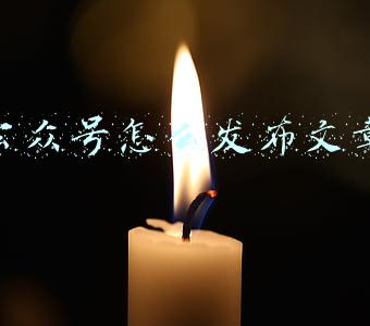 公众号怎么发布文章