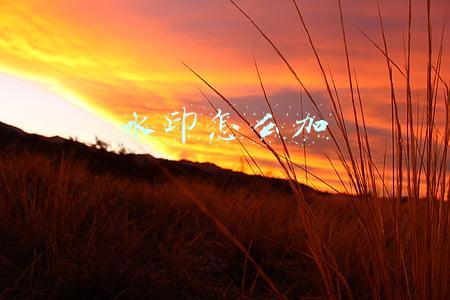 水印怎么加
