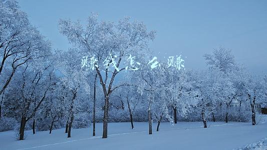 赚钱怎么赚