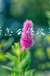 抖音号怎么修改第二次