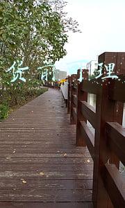 闲鱼确认收货(闲鱼被骗经历)