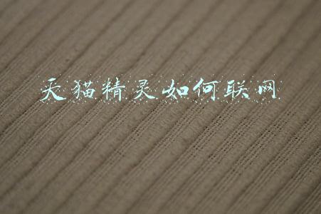 天猫精灵如何联网