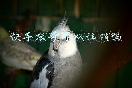 快手账号可以注销吗