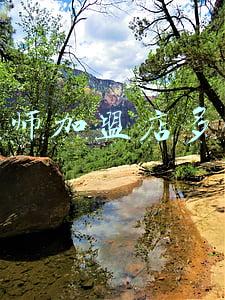 想开个粥店利润是多少?-粥店加盟加盟费多少