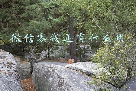 微信零钱通有什么用