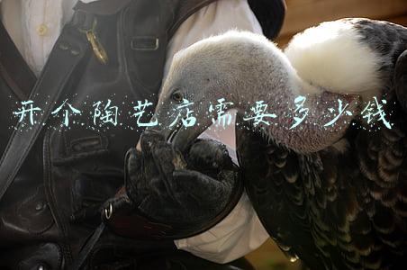 开个陶艺店怎么样 开一家陶艺店有没有发展前景