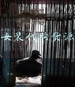 女装代购货源