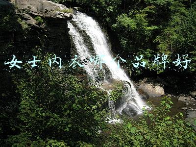女士内衣哪个品牌好