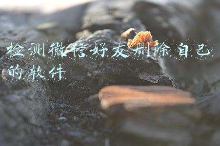 检测微信好友删除自己的软件