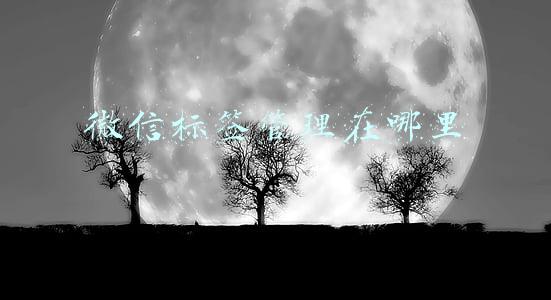 微信标签管理在哪里