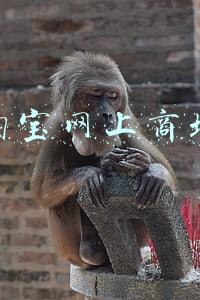 淘宝网上商城