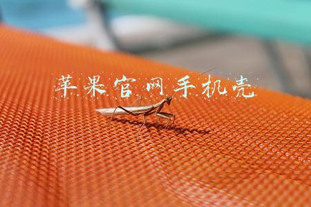 苹果官网手机壳