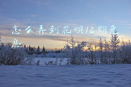 怎么弄到花呗12期免息