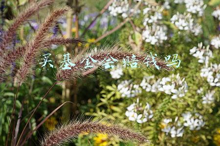 买基金会赔钱吗知乎(万万没想到：投资基金会遇到这么多坑)