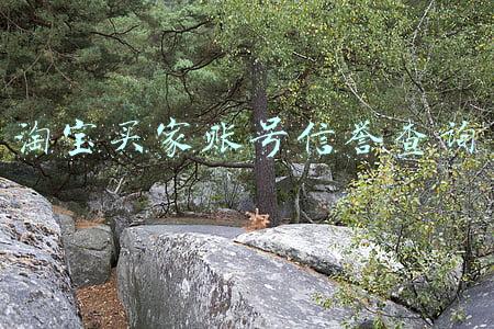 淘宝买家账号信誉查询
