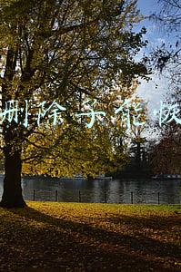 微信删除了能恢复吗