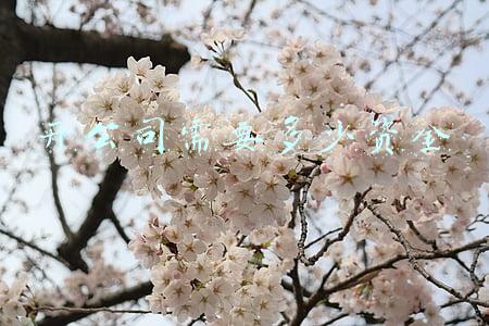 开公司需要多少资金注册(有限公司注册需要几个人)