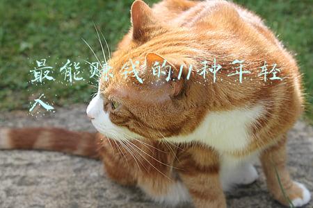 最能赚钱的11种年轻人
