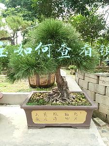 支付宝如何查看银行卡号
