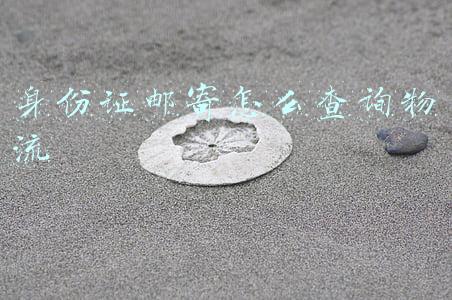 邮政身份证邮寄怎么查询物流(邮费谁出？快递怎么查？离岛免税购物“邮寄送达”热点问题解答)