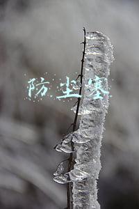 防尘塞
