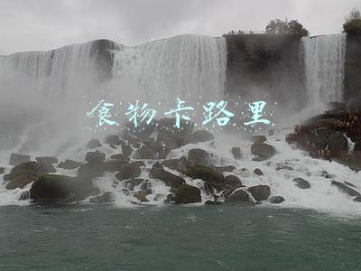 食物卡路里