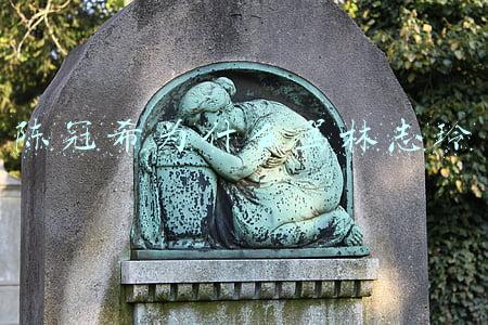 陈冠希为什么骂林志玲