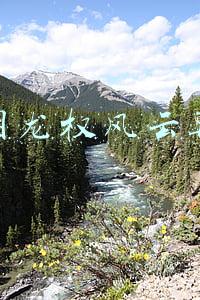 大明龙权风云再起 大明龙权风云再起