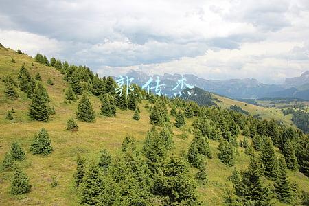 郭世杰最新简介(强军精武河南兵丨一级飞行员郭世杰：雪域长空守和平)