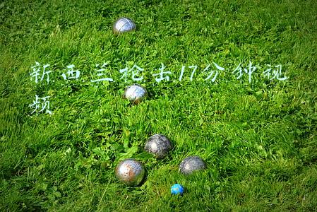 新西兰枪击17分钟视频百度网盘(造成51人死亡 新西兰枪击案枪手对近百项指控认罪)