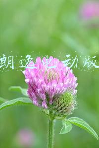 朗逸电动版