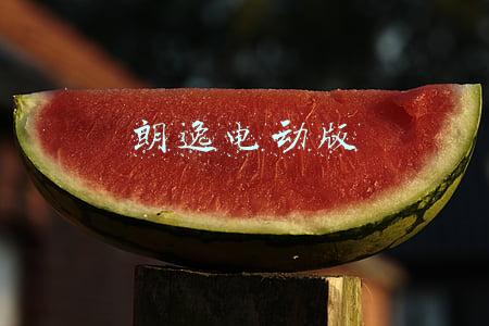 朗逸电动版