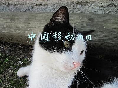 中国移动mm