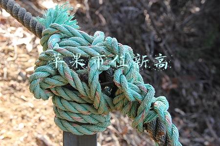 苹果市值新高