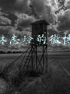 林志玲的微博