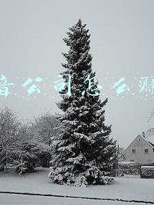 抖音公司怎么赚钱的《请大神赐教，抖音是怎么样赚钱，按照客户流量，怎么来，赚这个钱呢？流程是怎么样的？他钱，从哪来？》