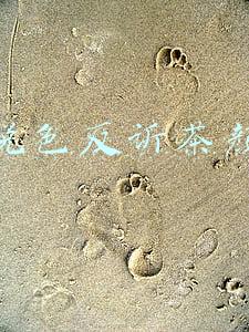 茶颜悦色反诉茶颜观色
