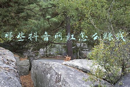 那些抖音网红怎么赚钱