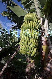 天津大爆炸原因