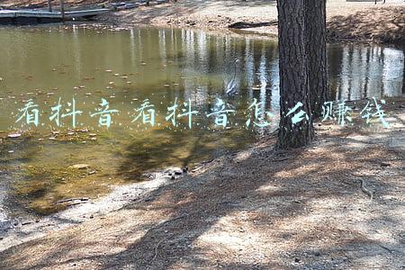 抖音怎么赚钱?(看抖音上怎么赚钱)