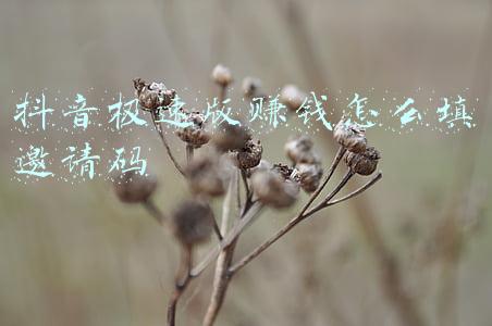 抖音极速版赚钱怎么填写邀请码 抖音邀请码从哪里填写