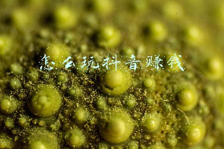 小白怎么玩抖音赚钱-抖音怎么赚钱?