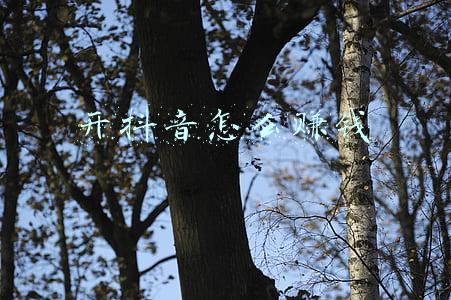 开抖音怎么赚钱