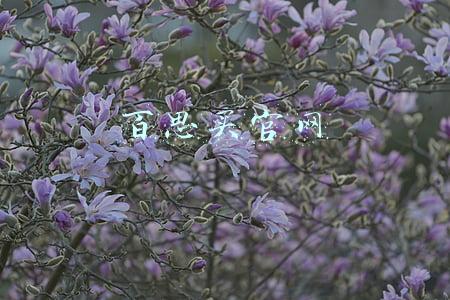 百思买官网