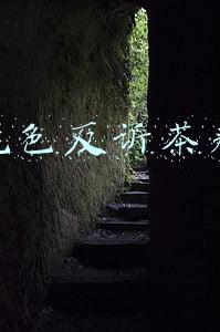 茶颜悦色反诉茶颜观色