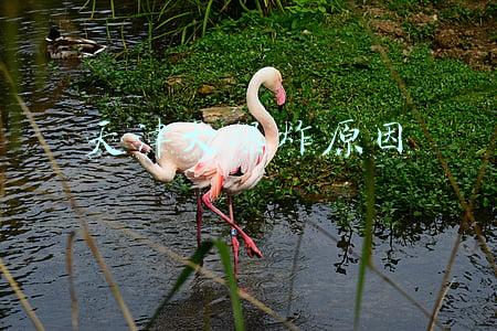 天津大爆炸原因