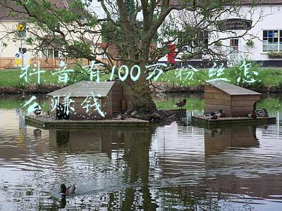 抖音有一百万粉丝怎么赚钱(抖音如果有1万个粉丝能赚钱吗?有收益吗?具体是怎么赚钱呀?)